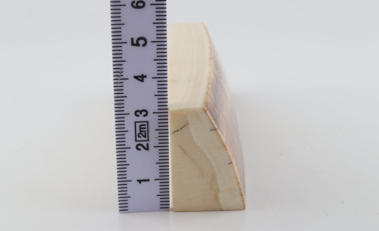 Natural woolly mammoth ivory piece