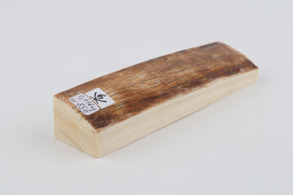 Natural woolly mammoth ivory piece