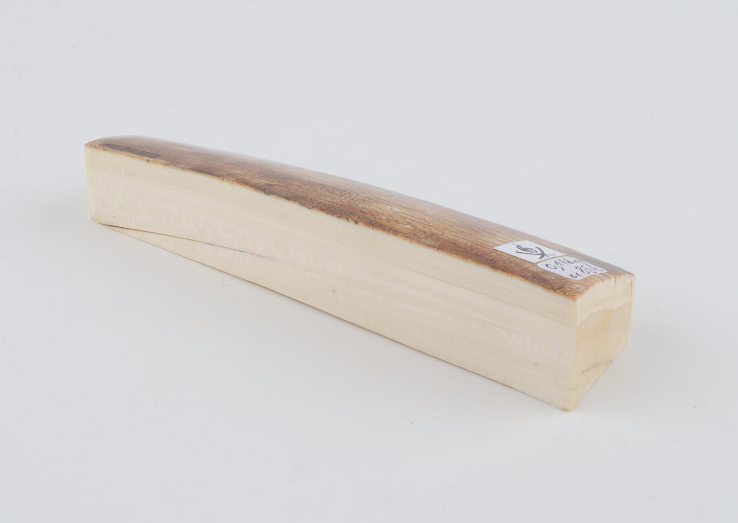 Natural woolly mammoth ivory piece