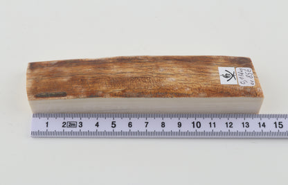 Natural woolly mammoth ivory piece