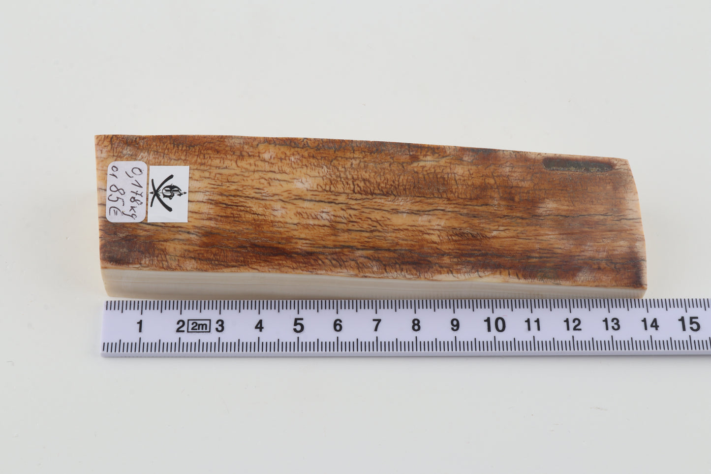 Natural woolly mammoth ivory piece