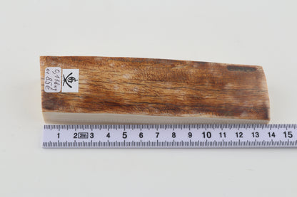 Natural woolly mammoth ivory piece