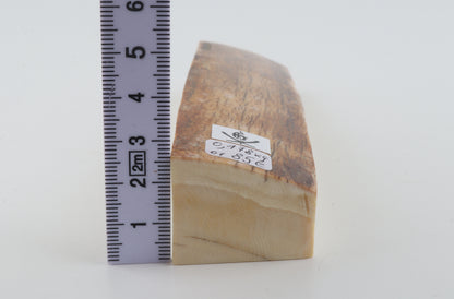 Natural woolly mammoth ivory piece