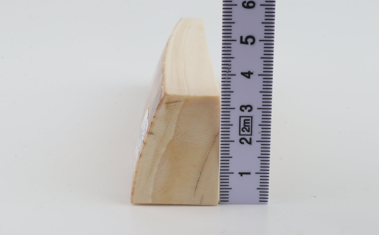 Natural woolly mammoth ivory piece