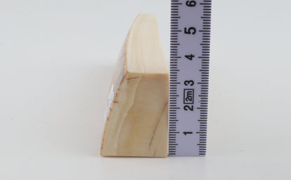Natural woolly mammoth ivory piece