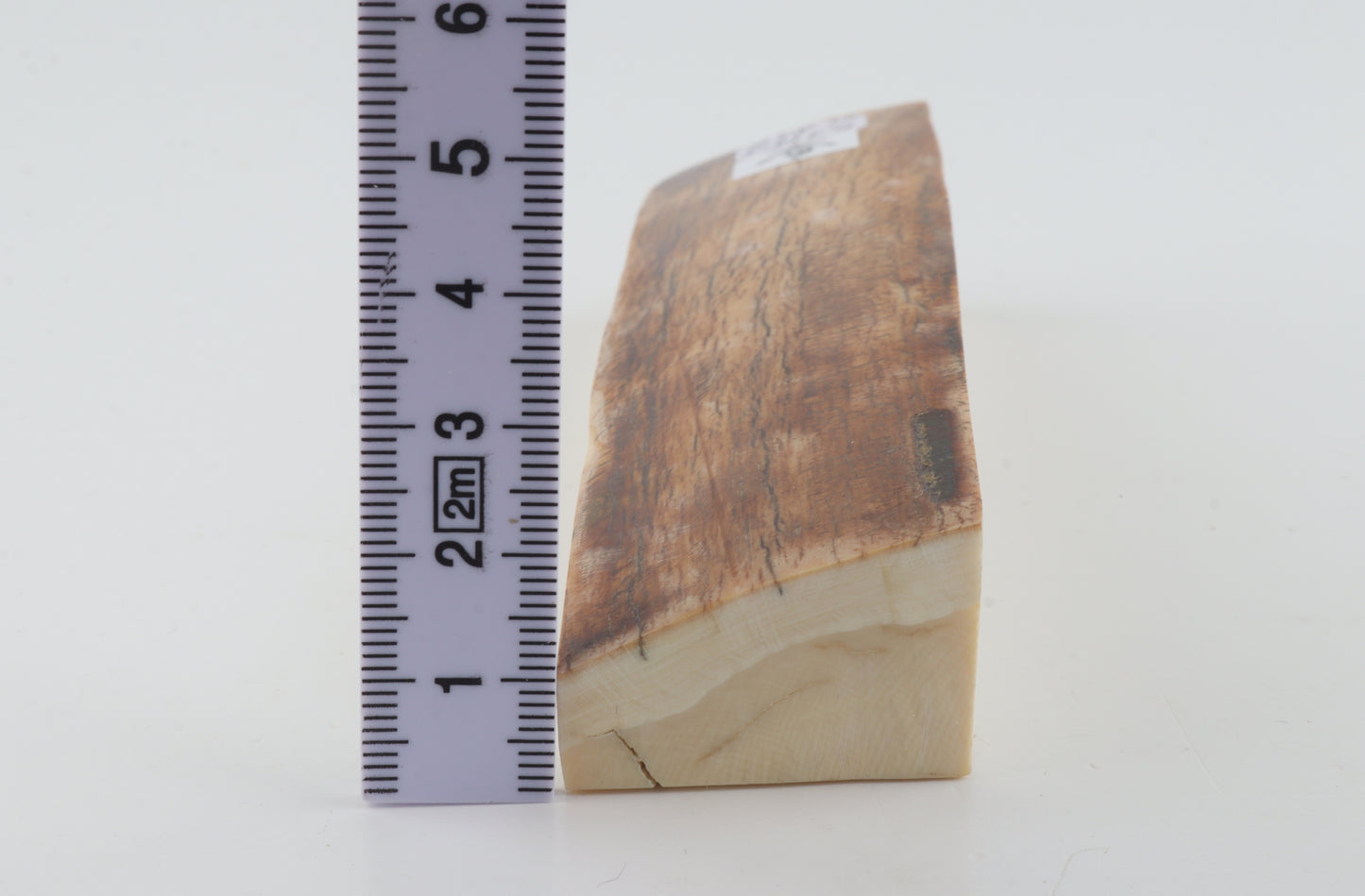 Natural woolly mammoth ivory piece