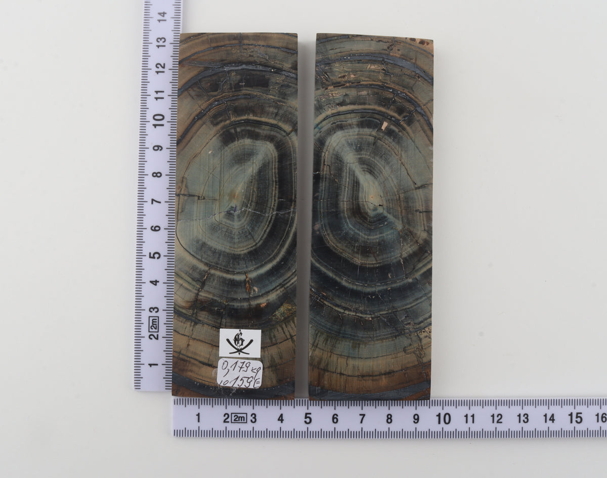 Stabilized mammoth ivory scales