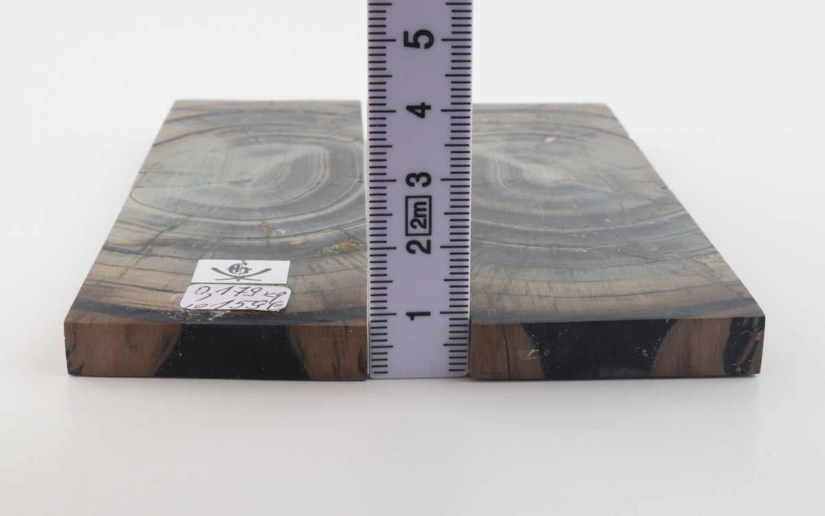 Stabilized mammoth ivory scales