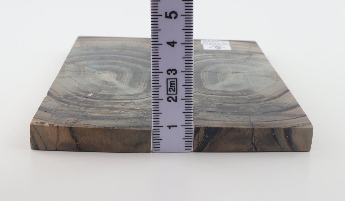 Stabilized mammoth ivory scales