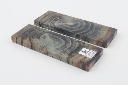 Stabilized mammoth ivory scales
