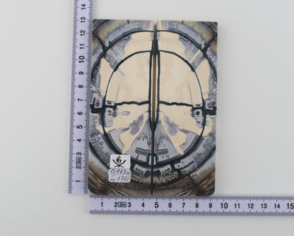 Stabilised mammoth ivory scales