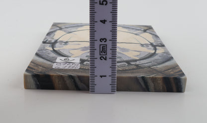 Stabilised mammoth ivory scales