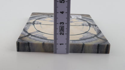 Stabilised mammoth ivory scales