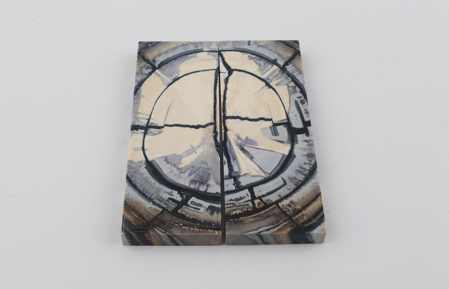 Stabilised mammoth ivory scales