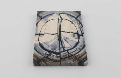 Stabilised mammoth ivory scales