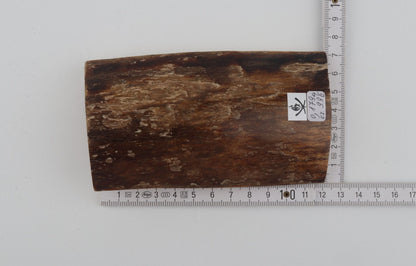 Brown mammoth bark