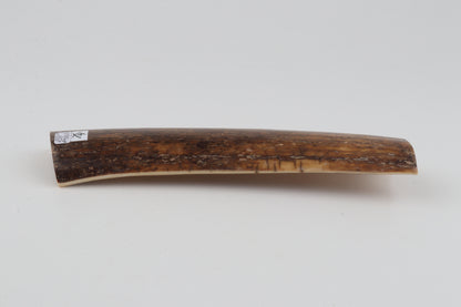 Brown mammoth bark