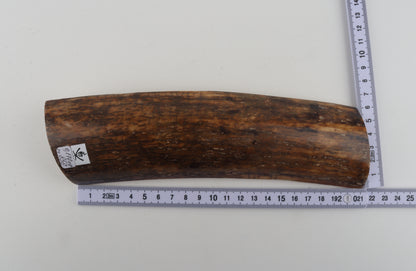 Brown mammoth bark