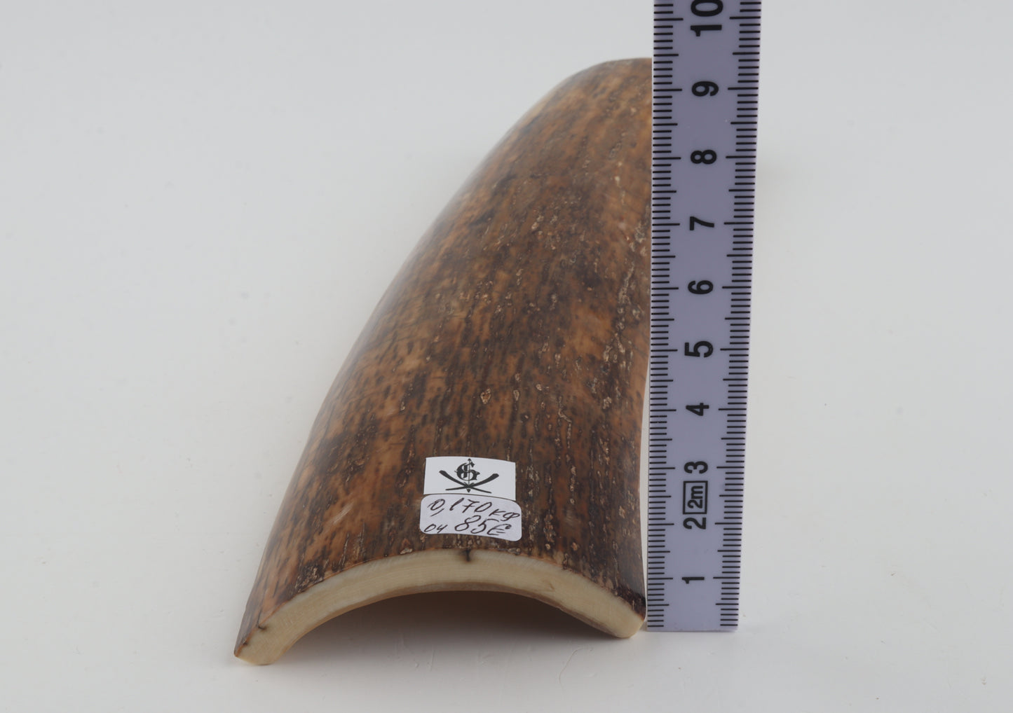 Brown mammoth bark