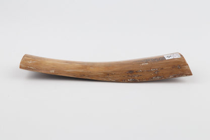 Beige mammoth bark