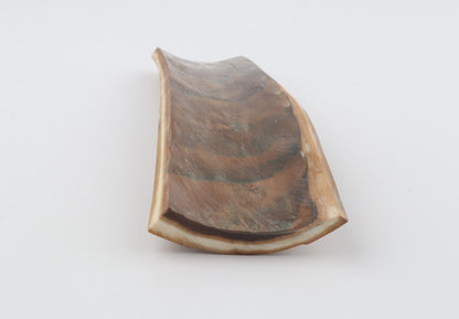 Beige mammoth bark