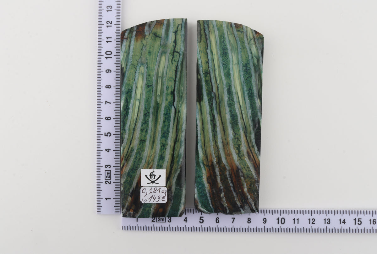 Stabilised mammoth molar scales