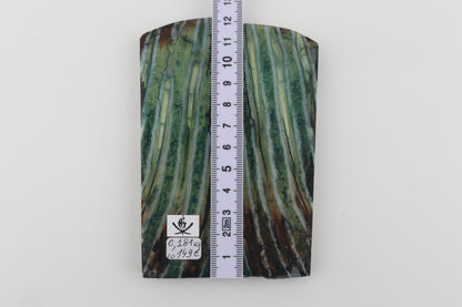 Stabilised mammoth molar scales