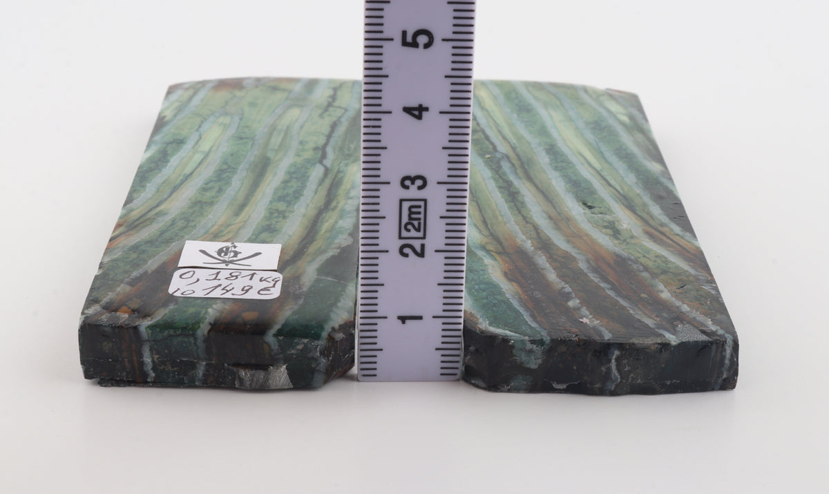 Stabilised mammoth molar scales