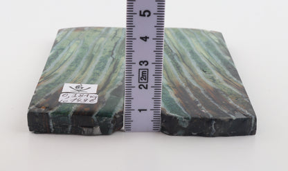 Stabilised mammoth molar scales