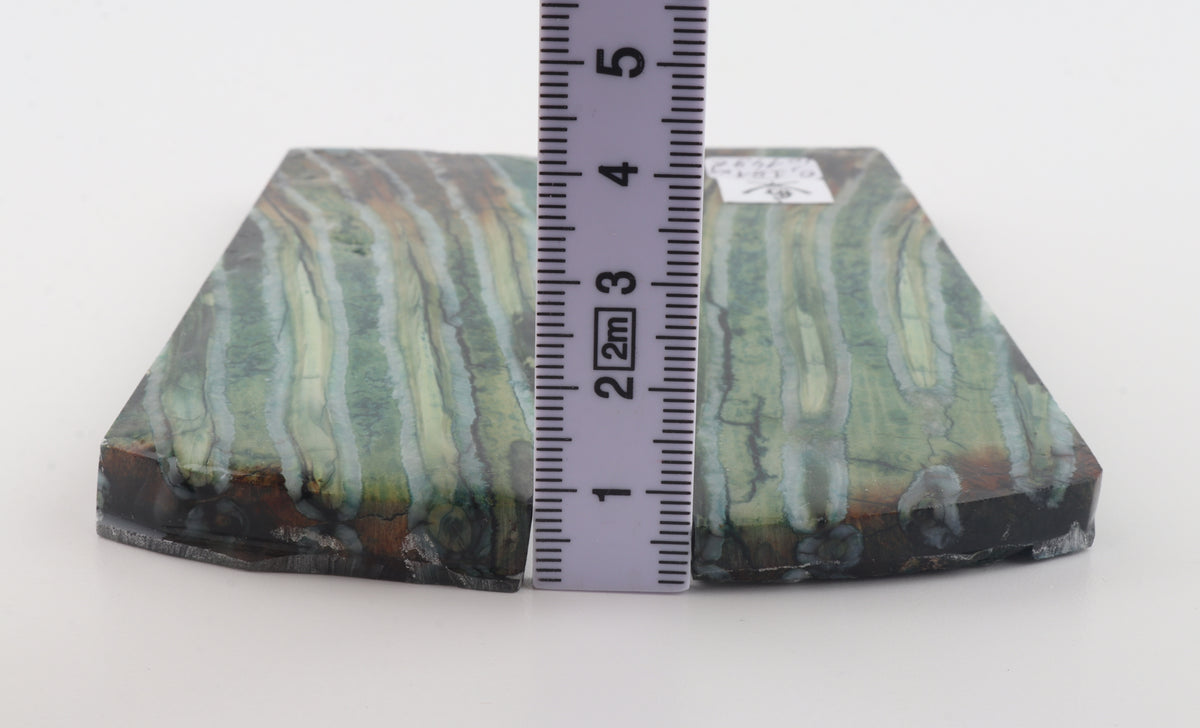 Stabilised mammoth molar scales