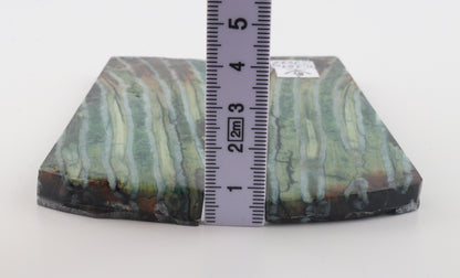 Stabilised mammoth molar scales