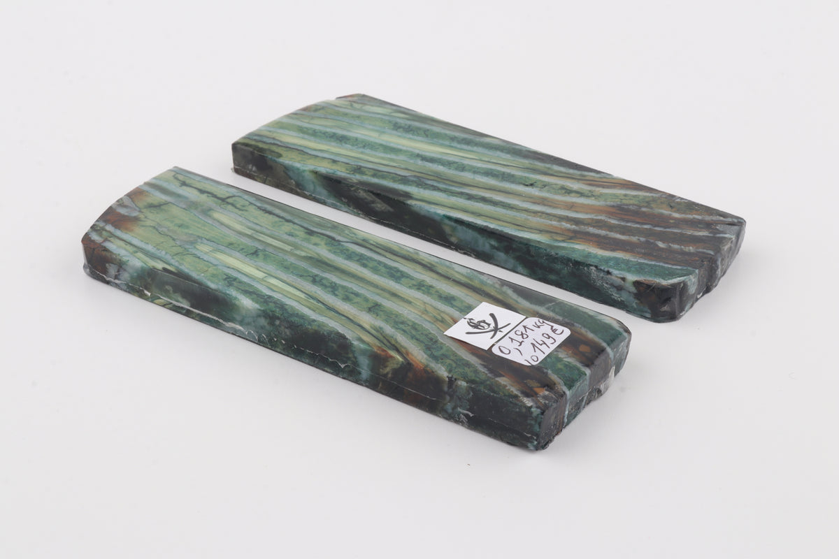 Stabilised mammoth molar scales