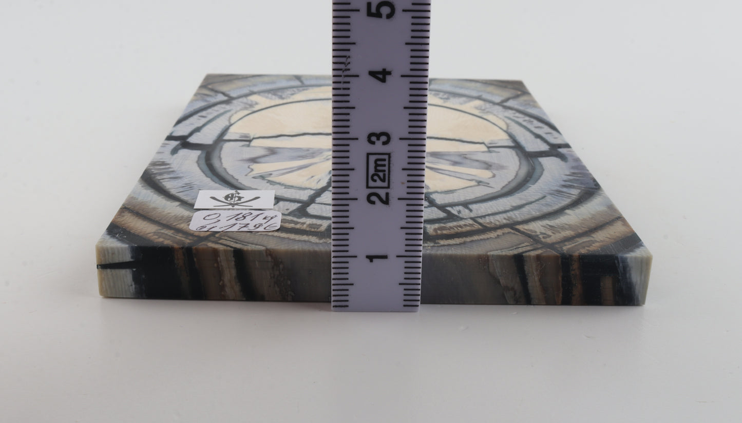 Stabilized mammoth ivory scales