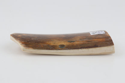 Natural woolly mammoth bark