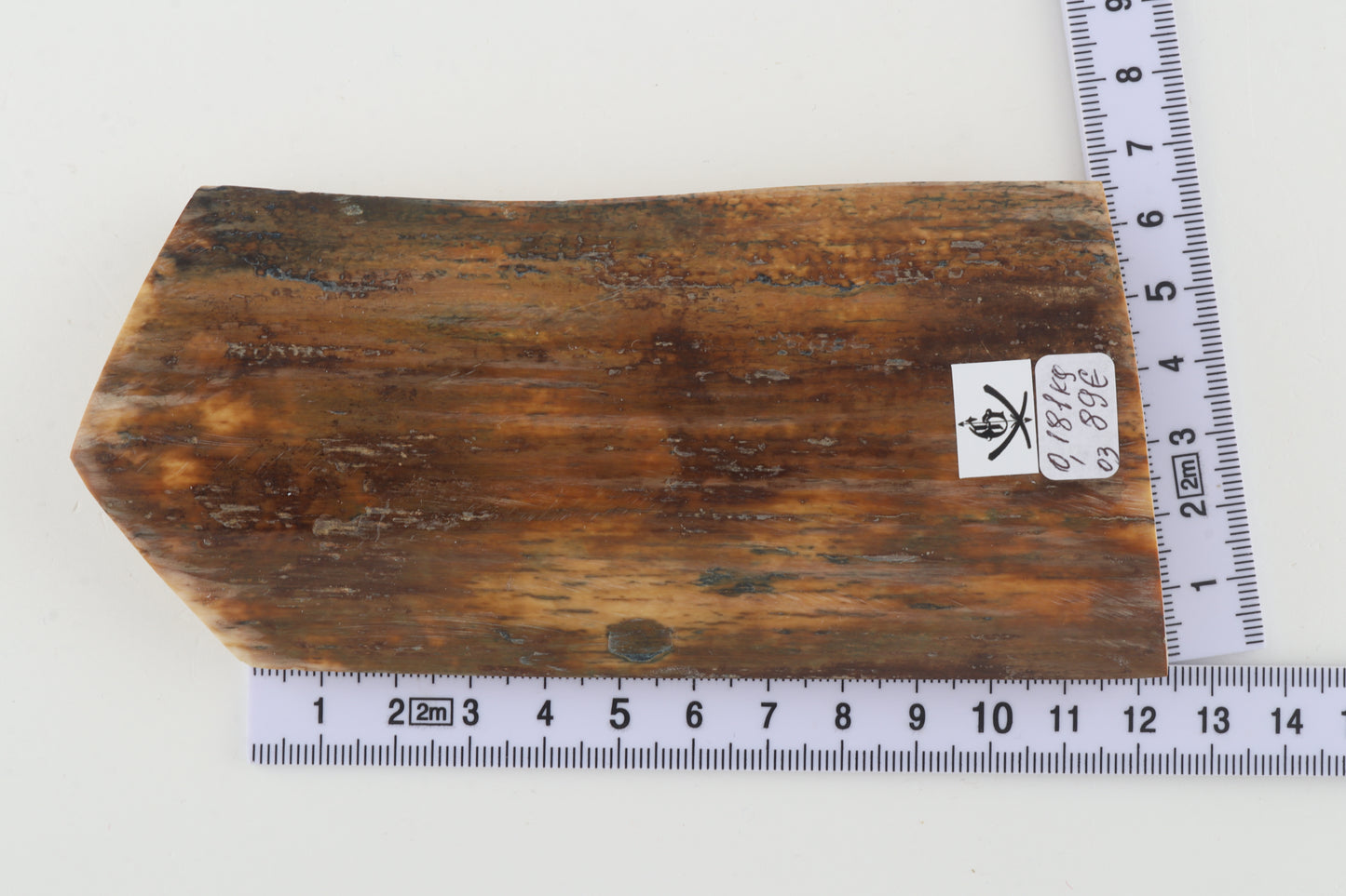 Natural woolly mammoth bark