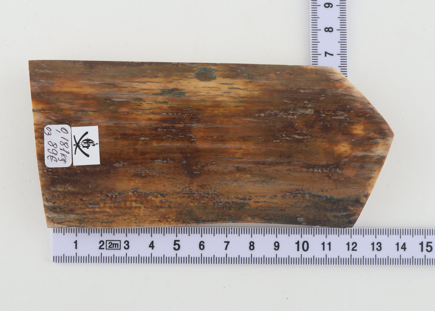 Natural woolly mammoth bark