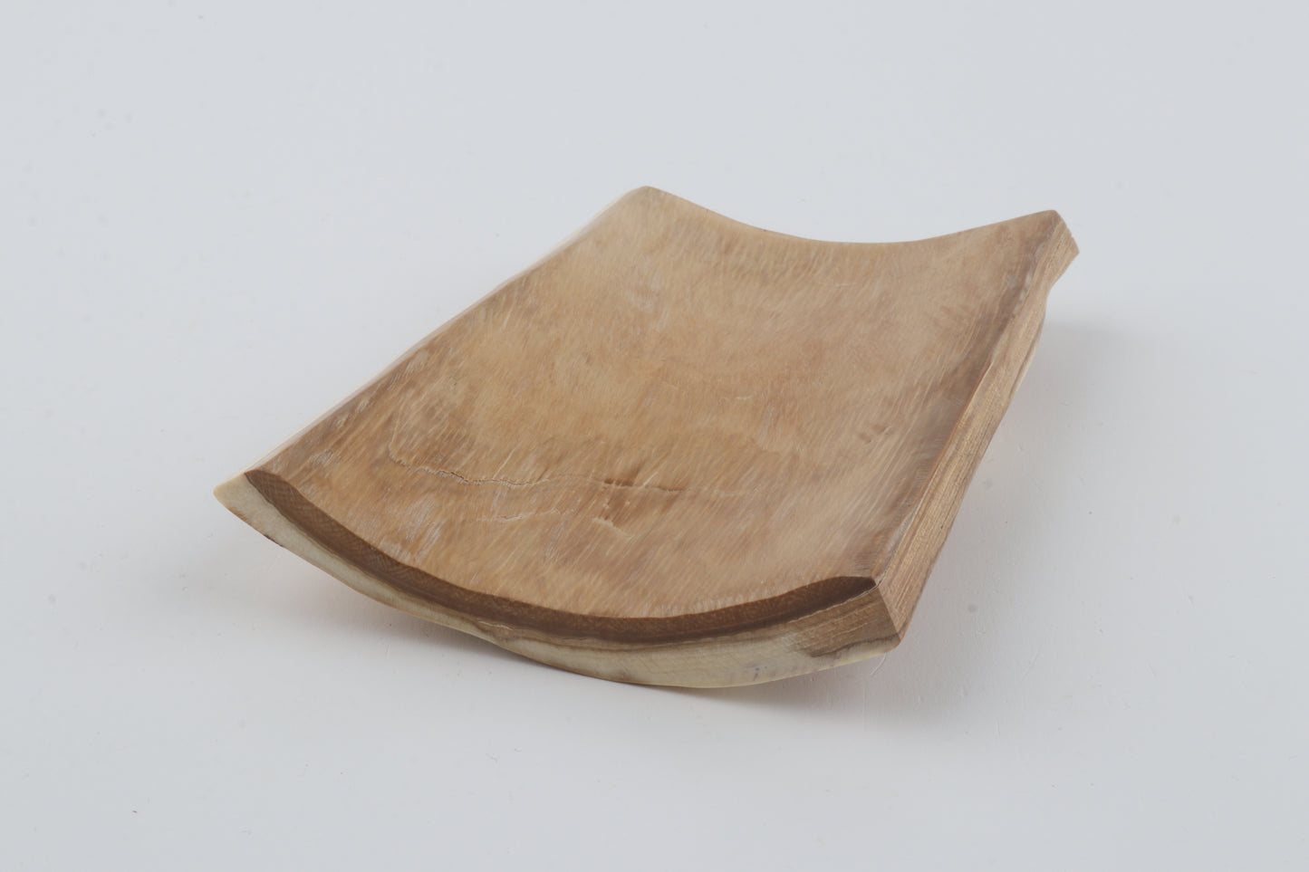 Creme-white mammoth bark