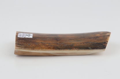 Natural woolly mammoth bark