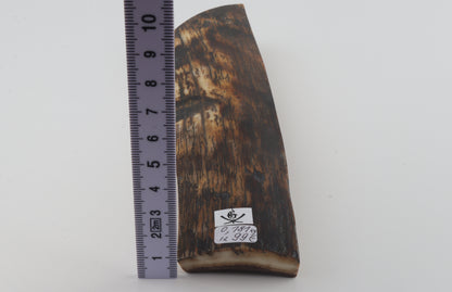 Brown mammoth bark