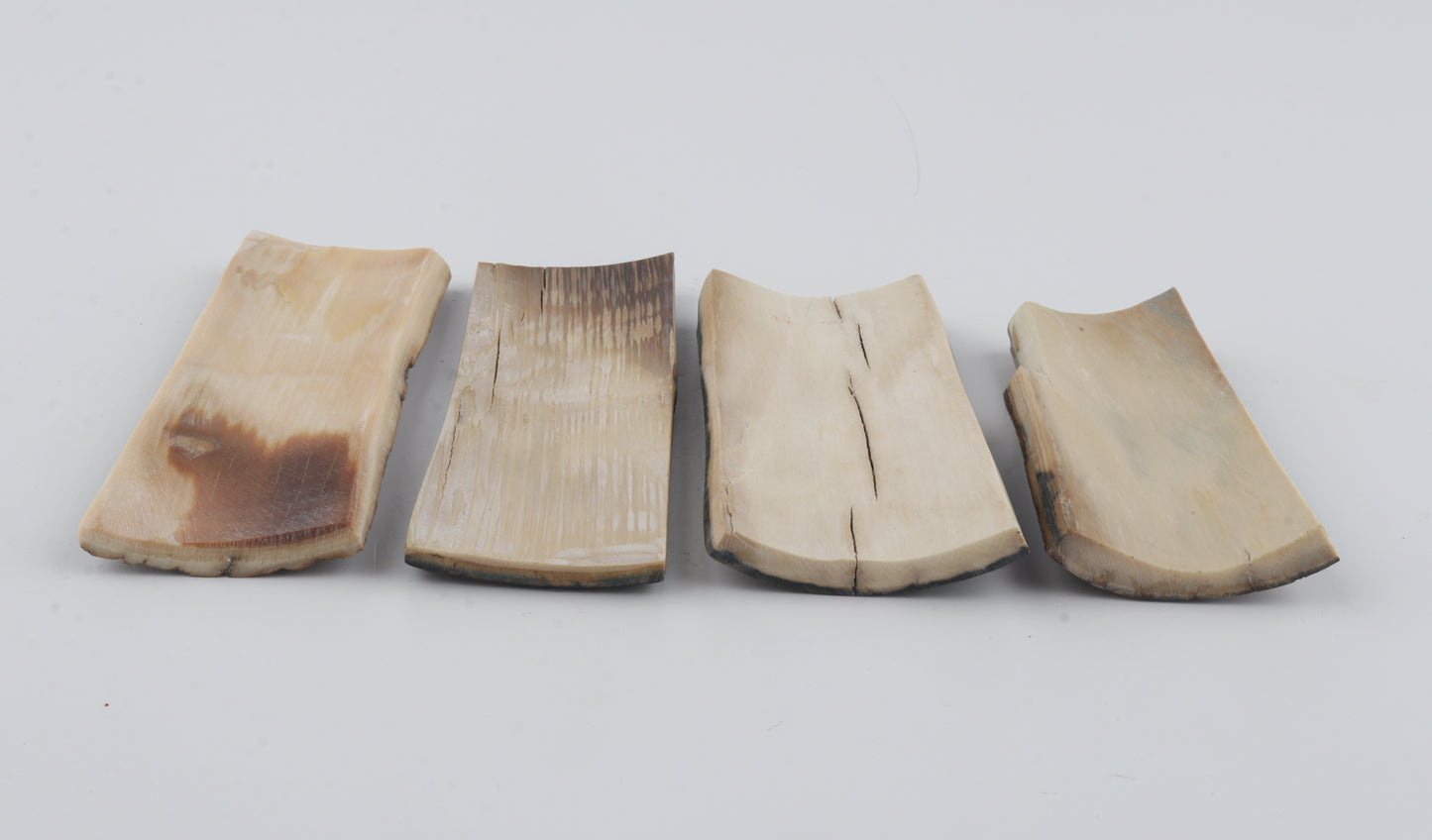 Natural mammoth bark pieces