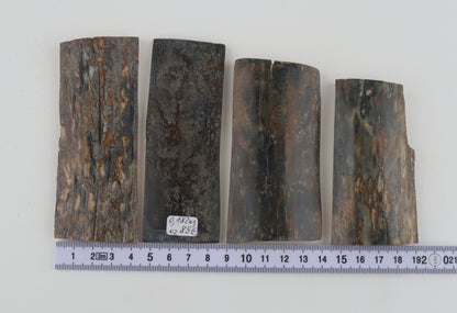 Natural mammoth bark pieces
