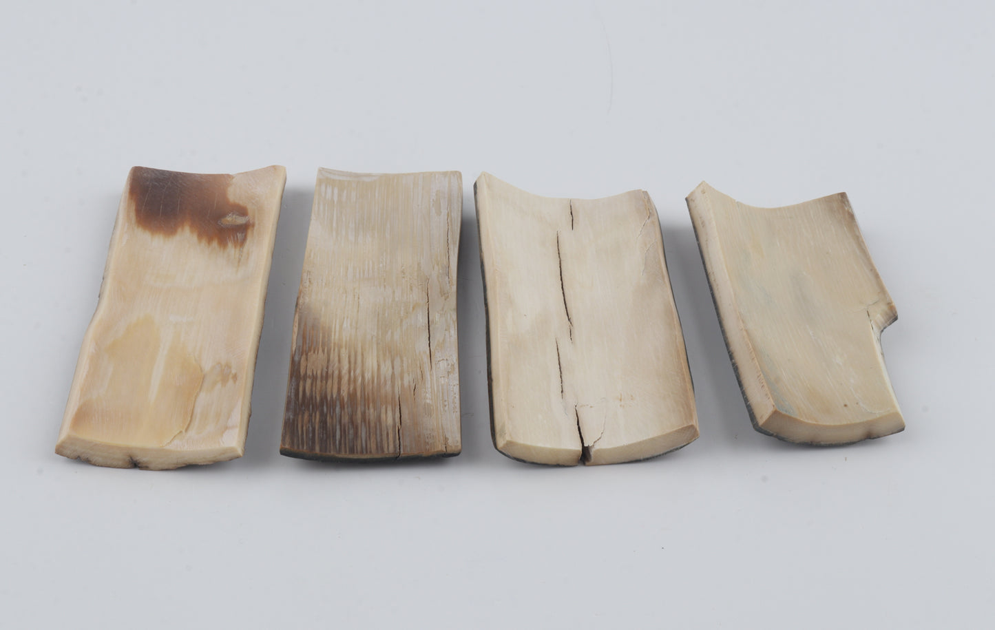 Natural mammoth bark pieces