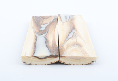 Stabilized mammoth bark scales