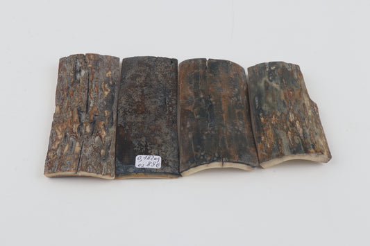 Natural mammoth bark pieces