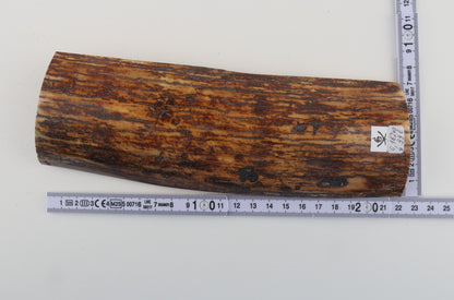 Brown-yellow mammoth bark