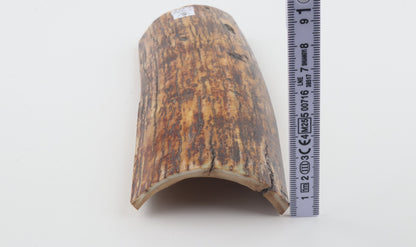 Brown-yellow mammoth bark