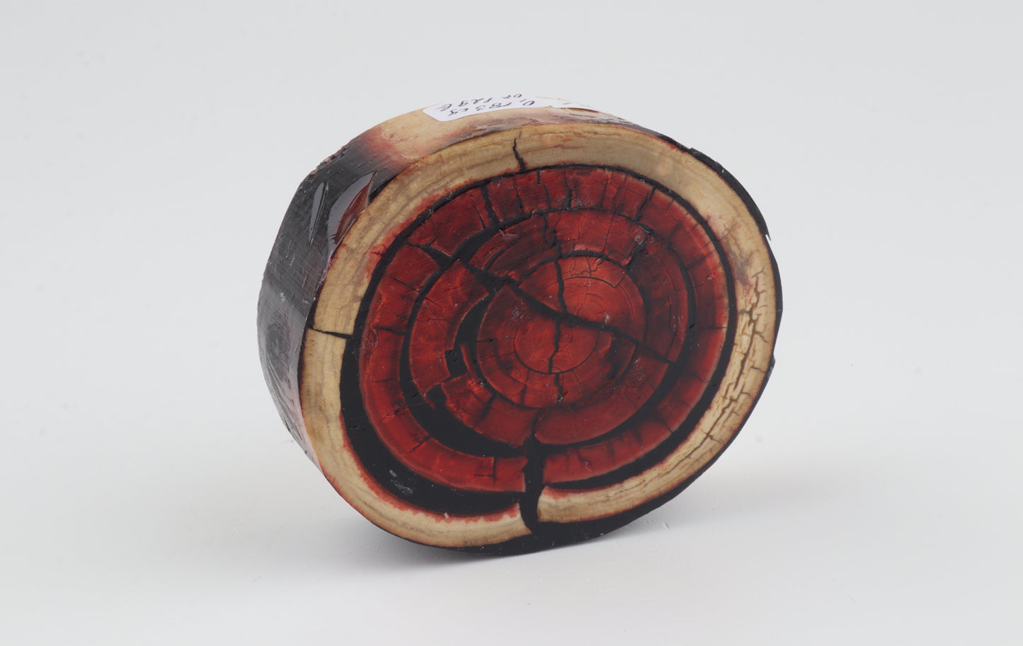 Stabilised mammoth ivory block