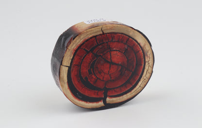 Stabilised mammoth ivory block