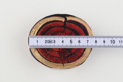 Stabilised mammoth ivory block