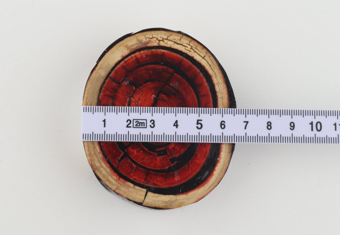 Stabilised mammoth ivory block